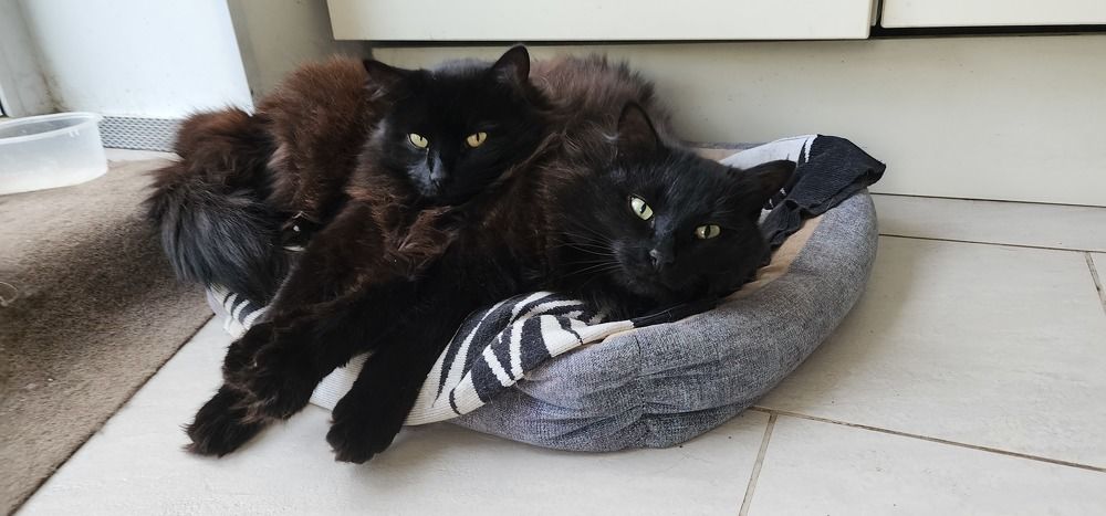 Photograph by Tatiana Denisova