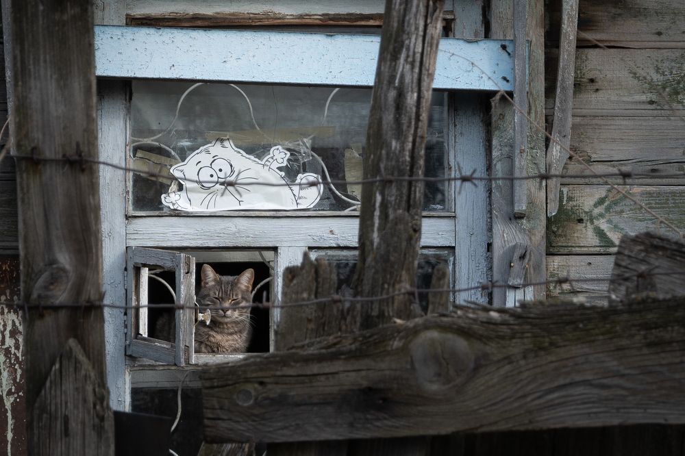 Photograph by Сергей Калинин