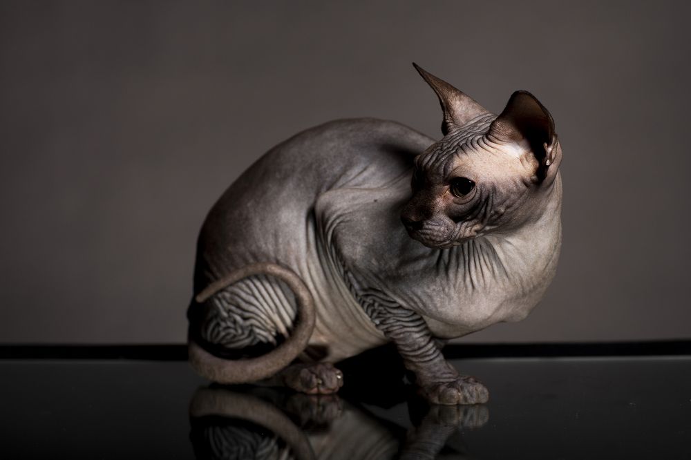 Photograph by Татьяна Мурзенко