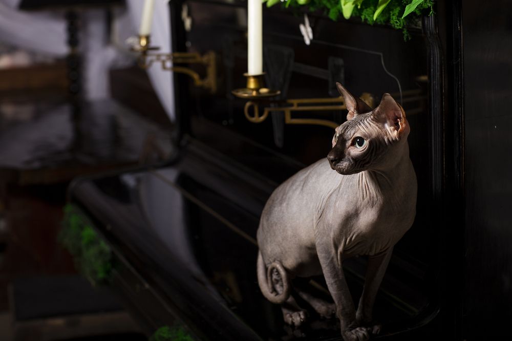 Photograph by Татьяна Мурзенко