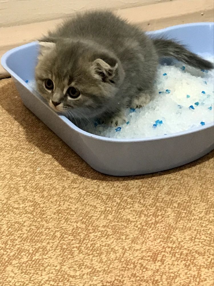 Photograph by Виктор