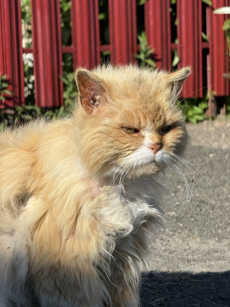 Photograph by Павел Арсенович