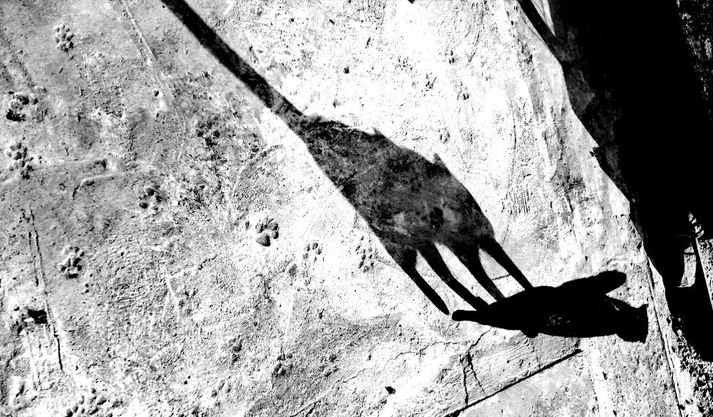 Photograph by Марина