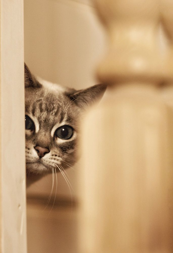 Photograph by Олеся Зеленщикова