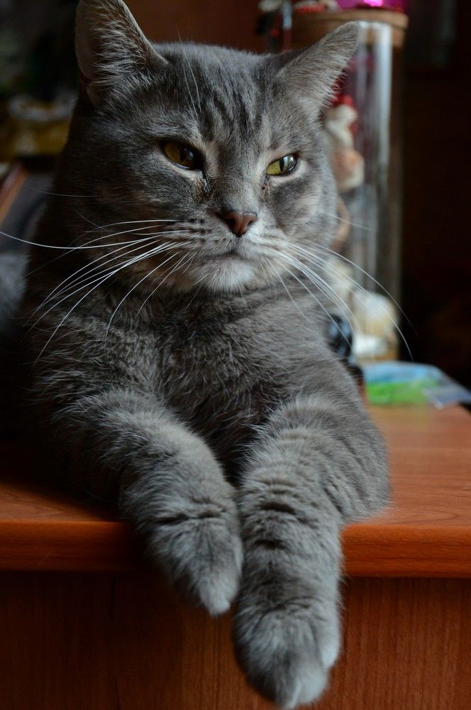 Photograph by Ольга Шевцова