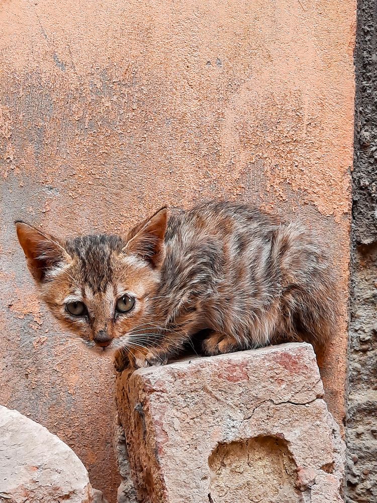 Photograph by sanaullah khan