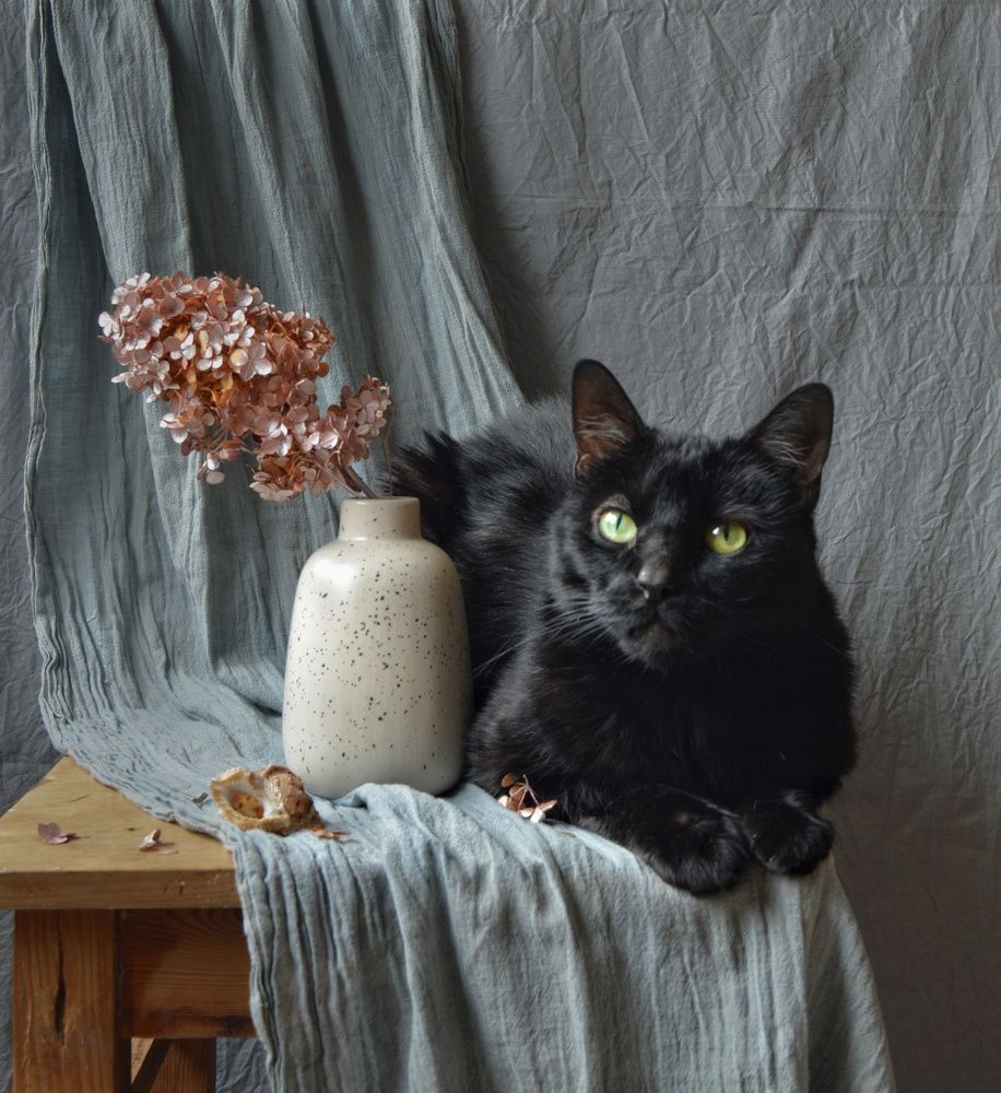 Photograph by Дина Полухина