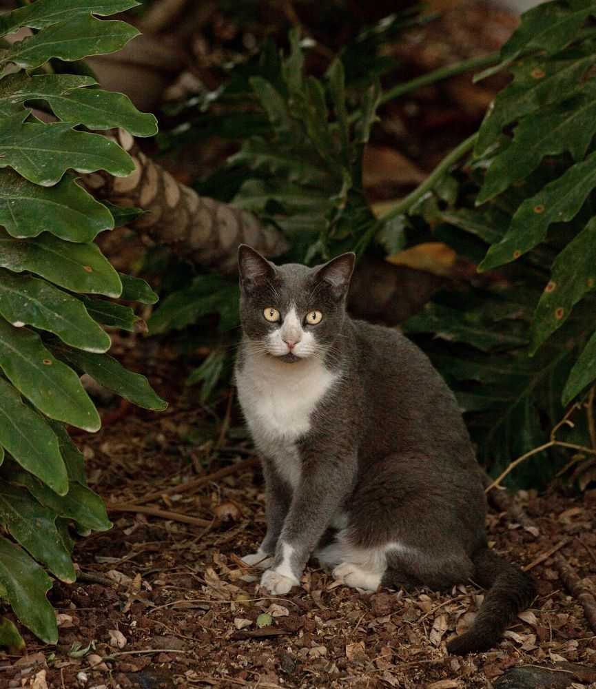 Фотография автора Galina Sa