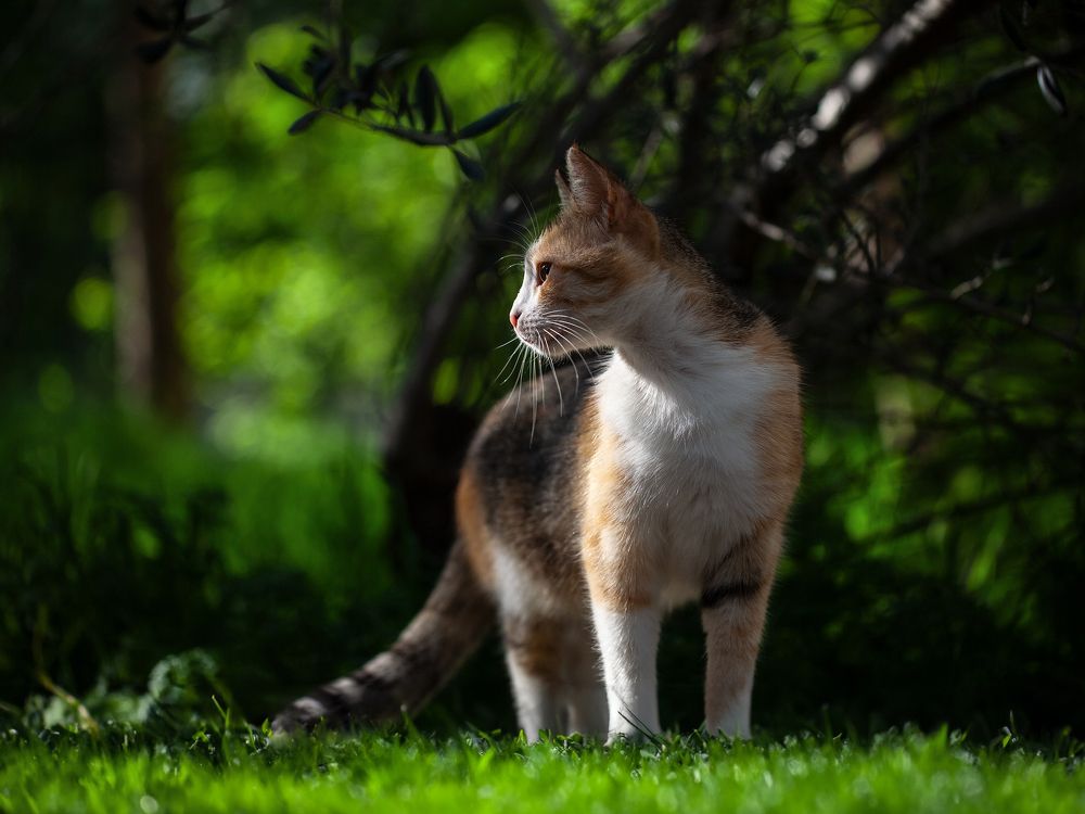 Photograph by Игорь Т