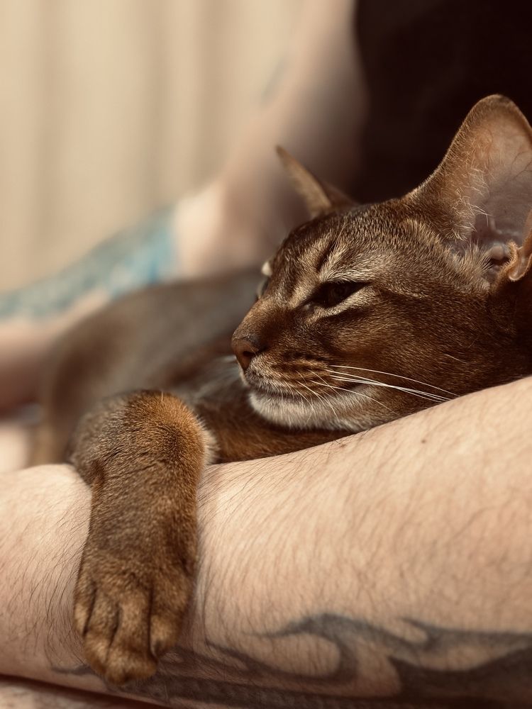 Photograph by Евгения Куликова