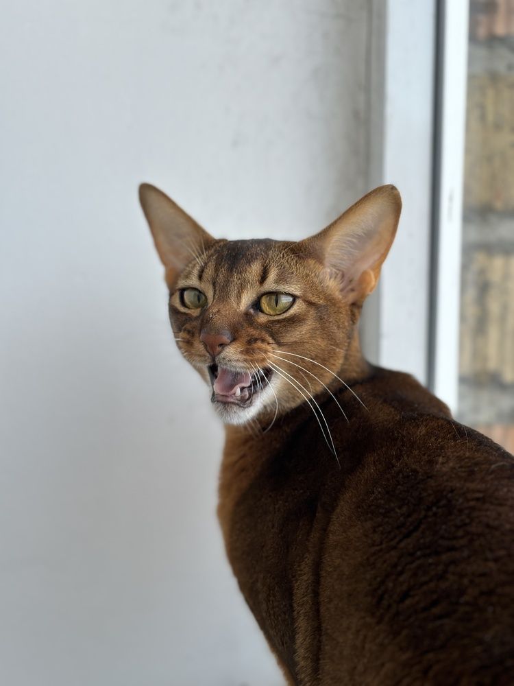 Photograph by Евгения Куликова