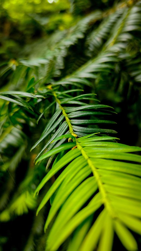 Фотография автора Александр Адамович