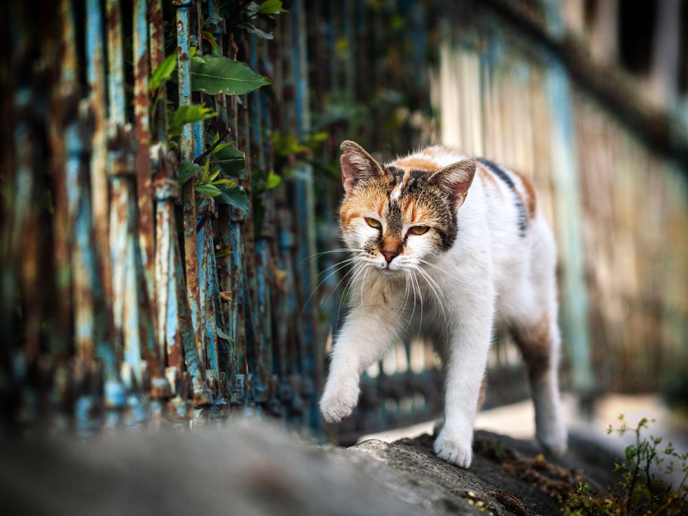 Photograph by Игорь Т