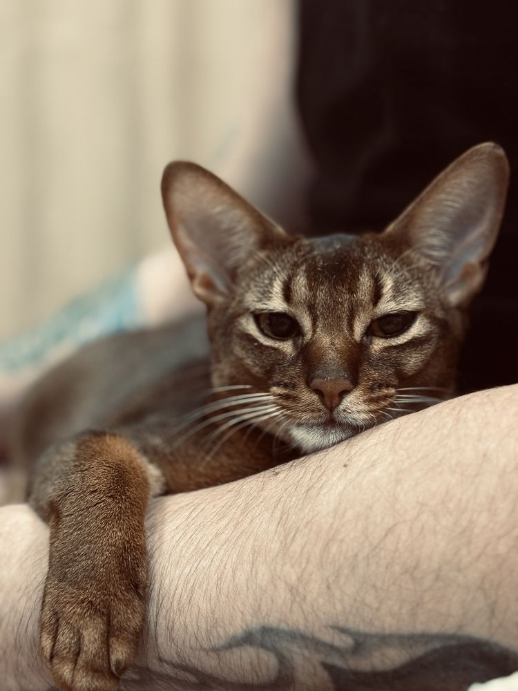 Photograph by Евгения Куликова