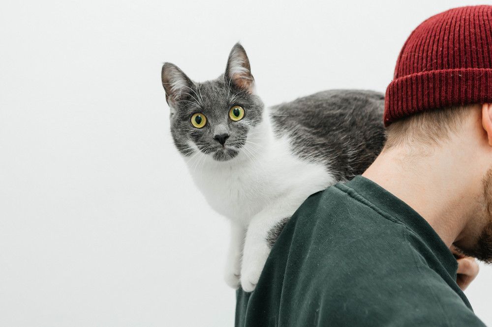 Фотография автора Ольга Анохина