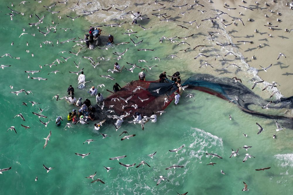 Фотография автора Anas Aldheeb