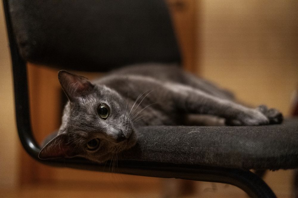 Photograph by Anton Gavrilov