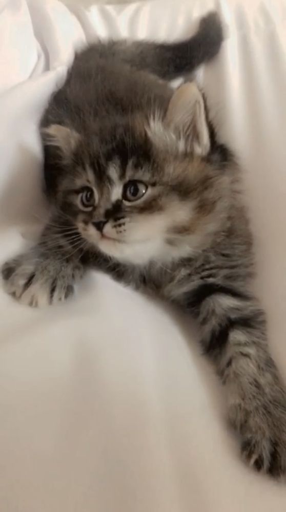 Photograph by Waleed Yousuf Alwahaibi