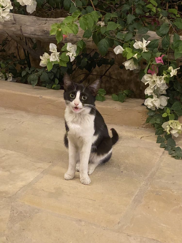 Photograph by Waleed Yousuf Alwahaibi