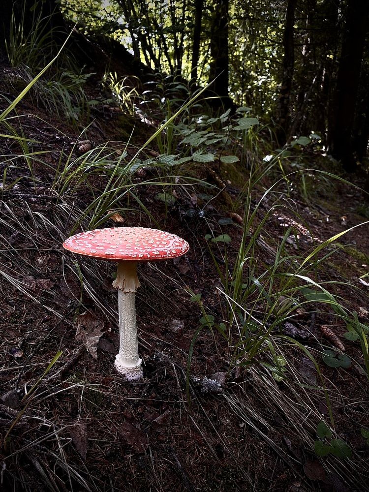 Photograph by Гульнара Айнетдинова