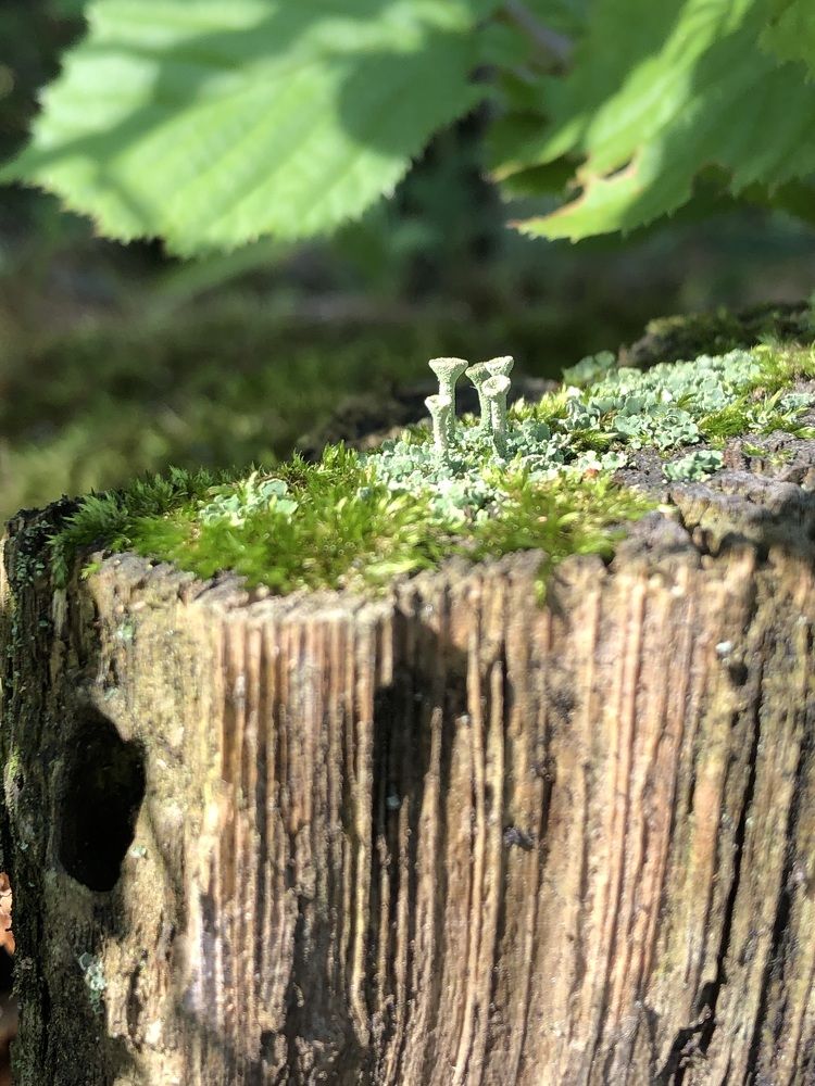 Photograph by Гульнара Айнетдинова