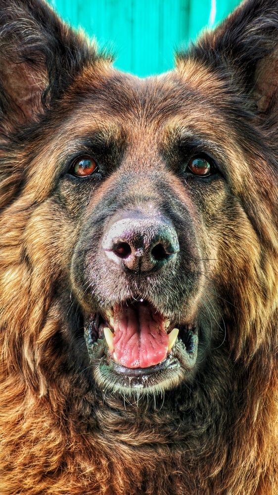 Photograph by Дмитрий Леонтенко