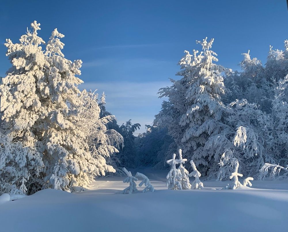 Photograph by Ирина Ахбаш