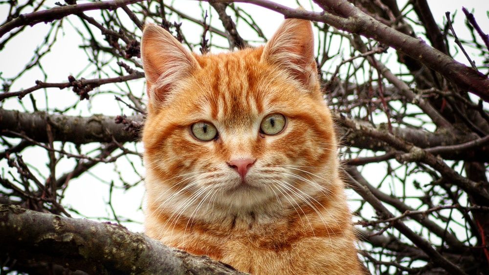 Photograph by Дмитрий Леонтенко