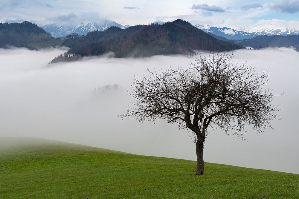 Photograph by Silvija Danelsone