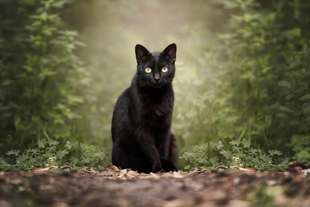 Photograph by Leticia Hernandez