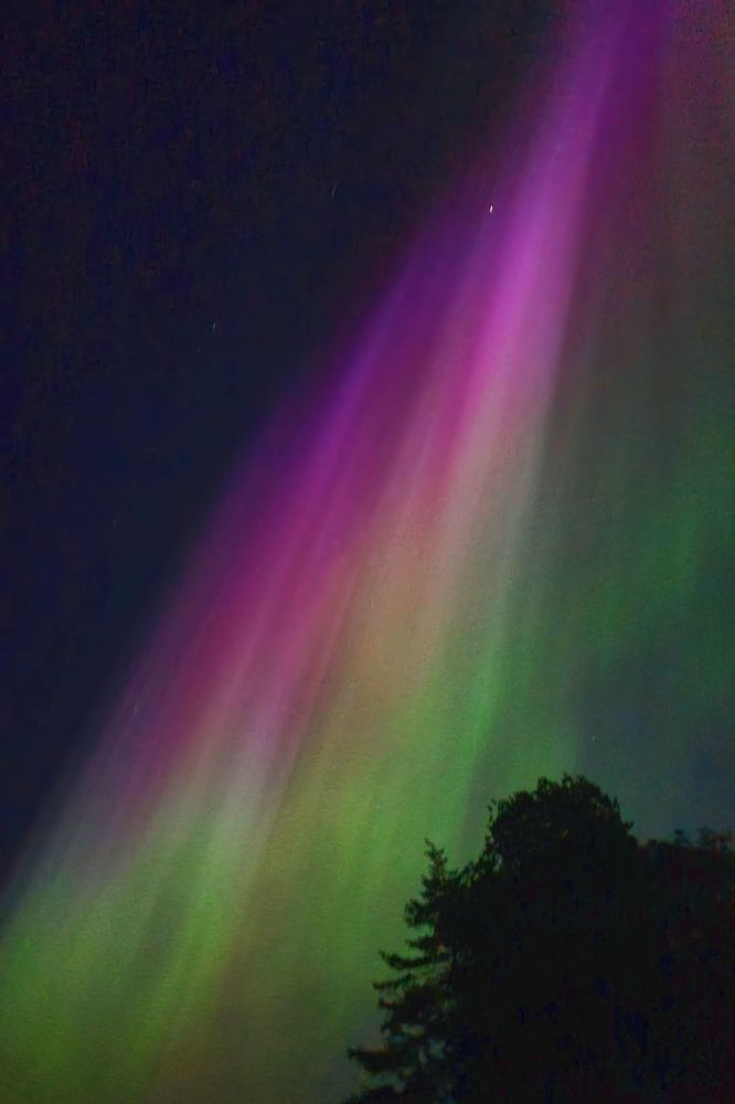 Photograph by A. G. Bisschop