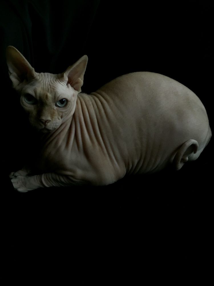 Photograph by Анна Морозова