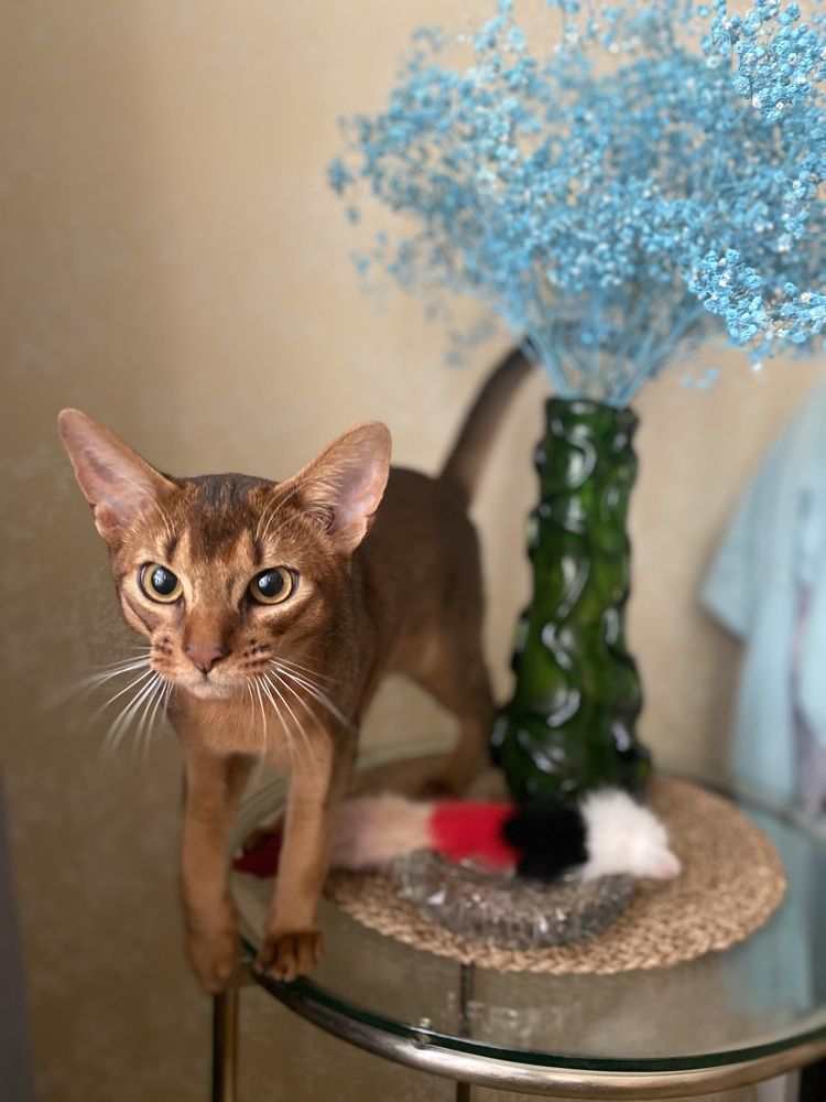 Фотография автора Olga Klyueva