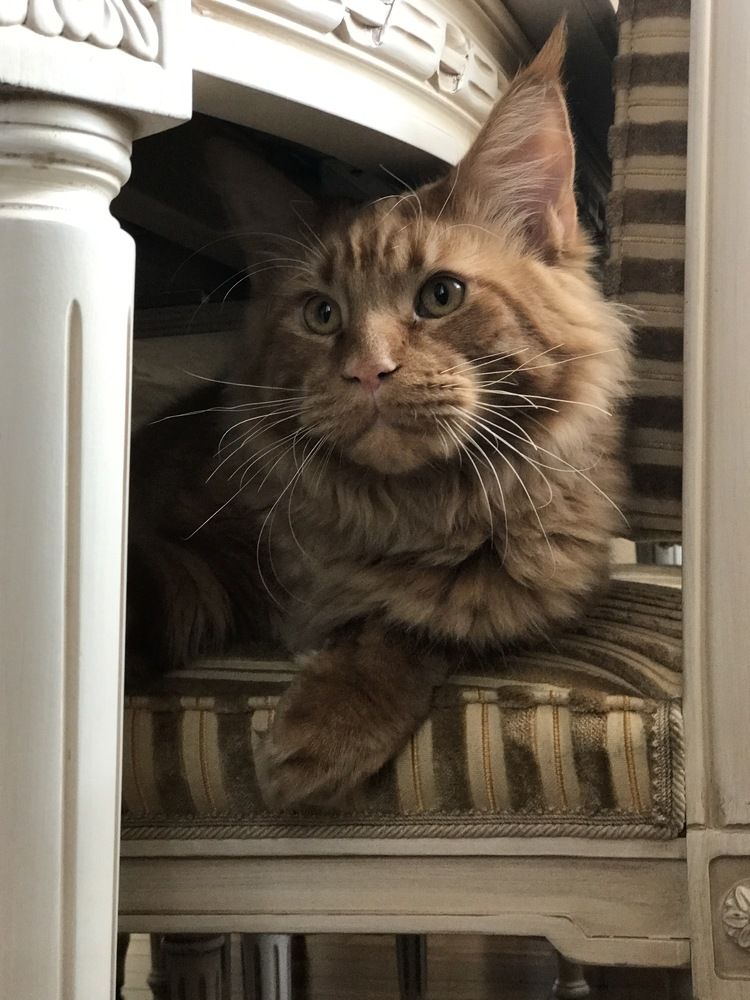 Фотография автора Olga Klyueva