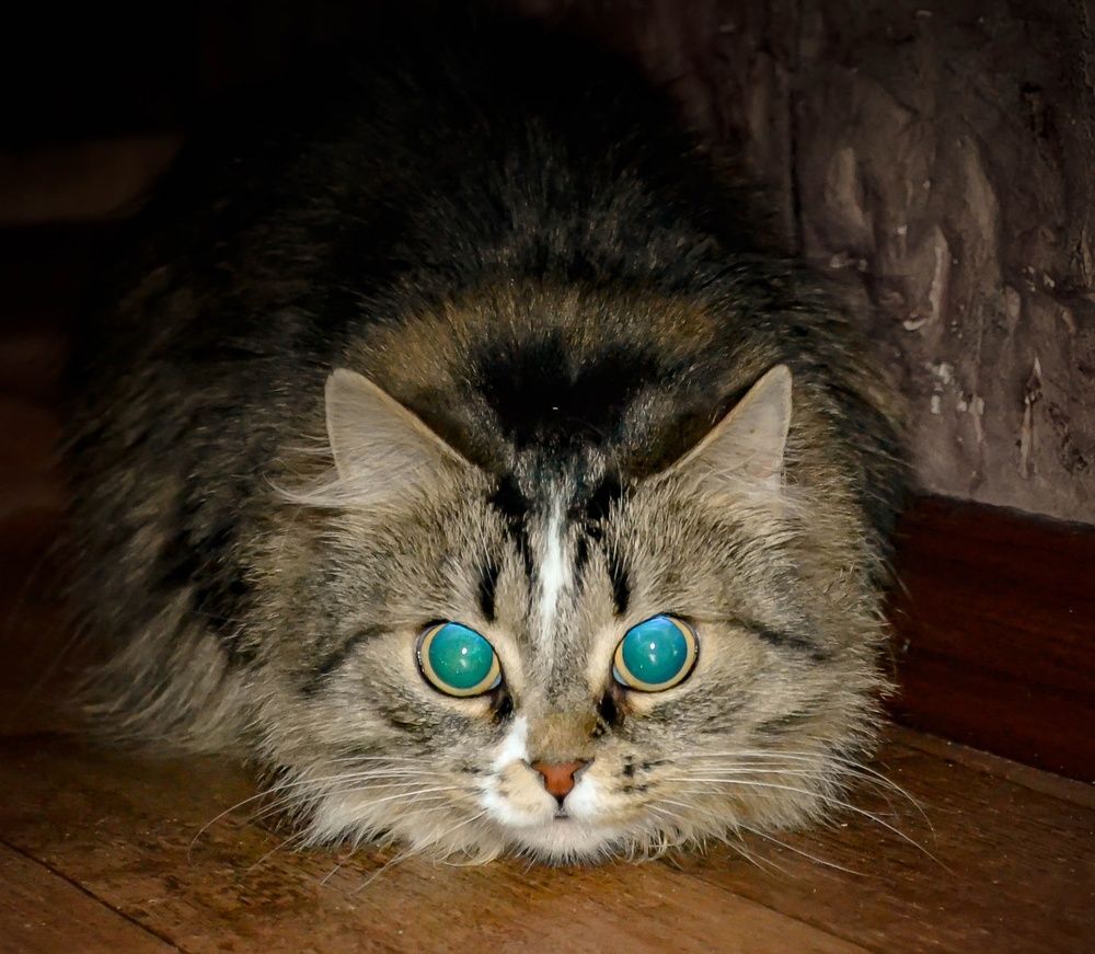 Photograph by Олеся Кузнецова