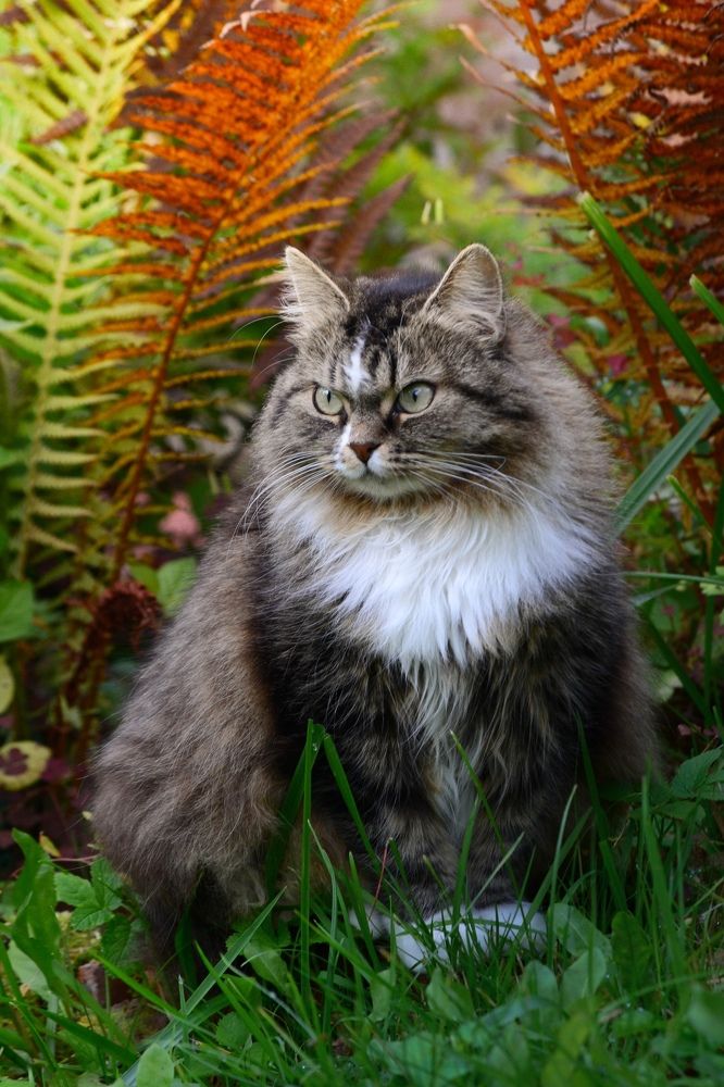 Photograph by Олеся Кузнецова