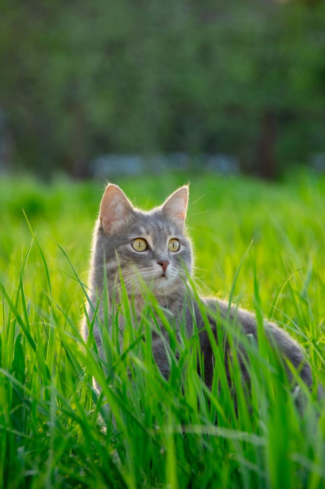 Photograph by Дмитрий Косачев