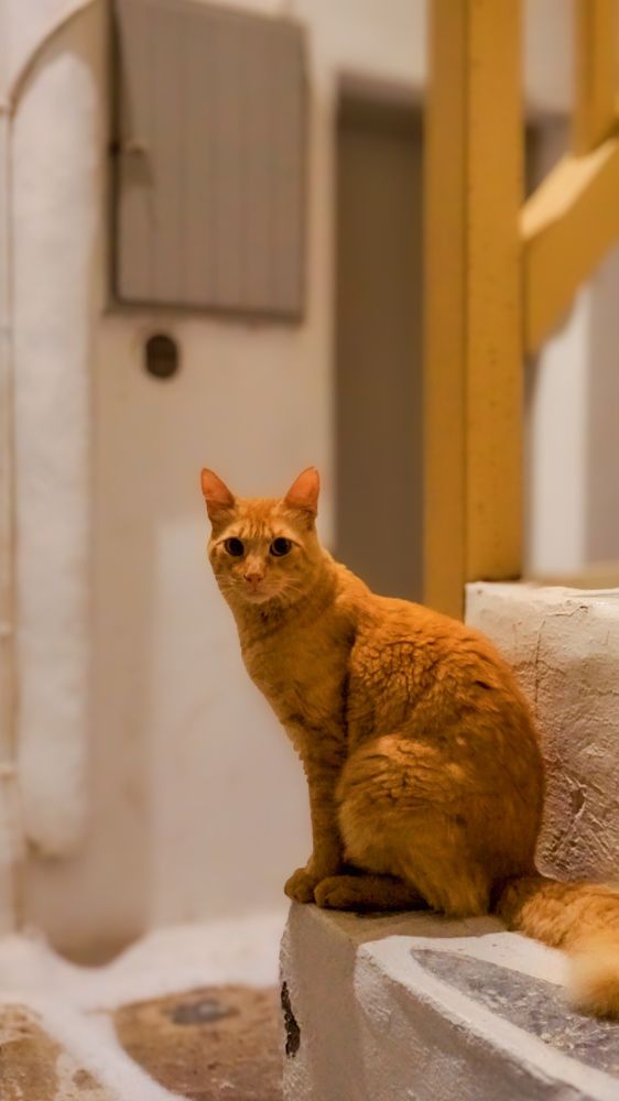 Photograph by Fotios Stamanikis