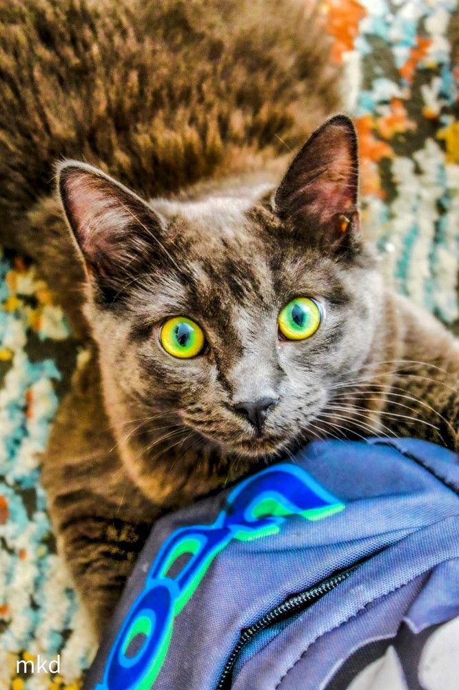 Photograph by Fotios Stamanikis