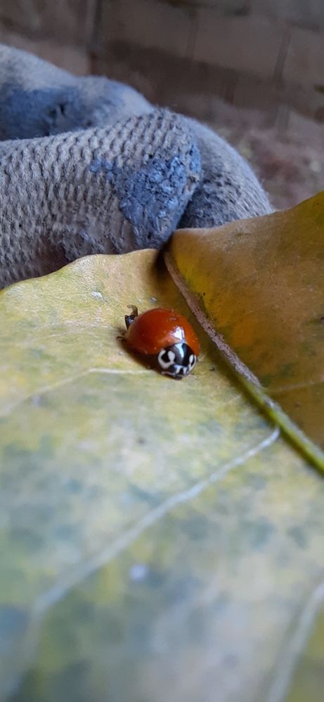 Фотография автора Jose Barbosa