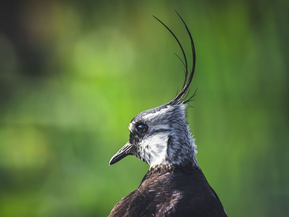 Photograph by Алексей Крылов