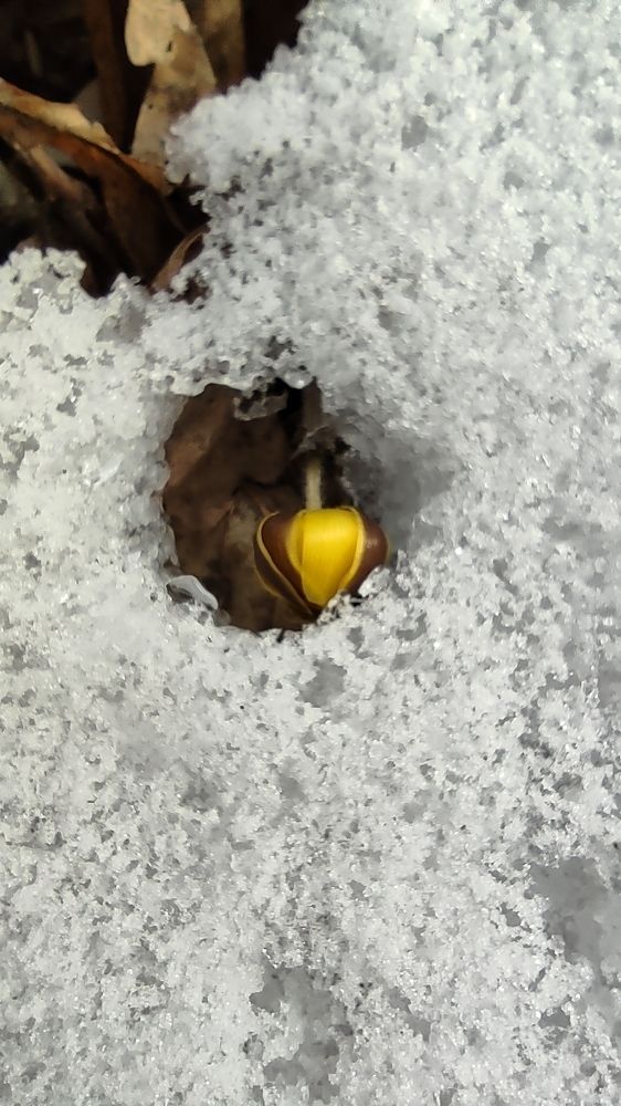 Photograph by Sergey Tsubanov