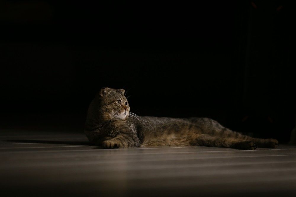 Photograph by Елена Катунина