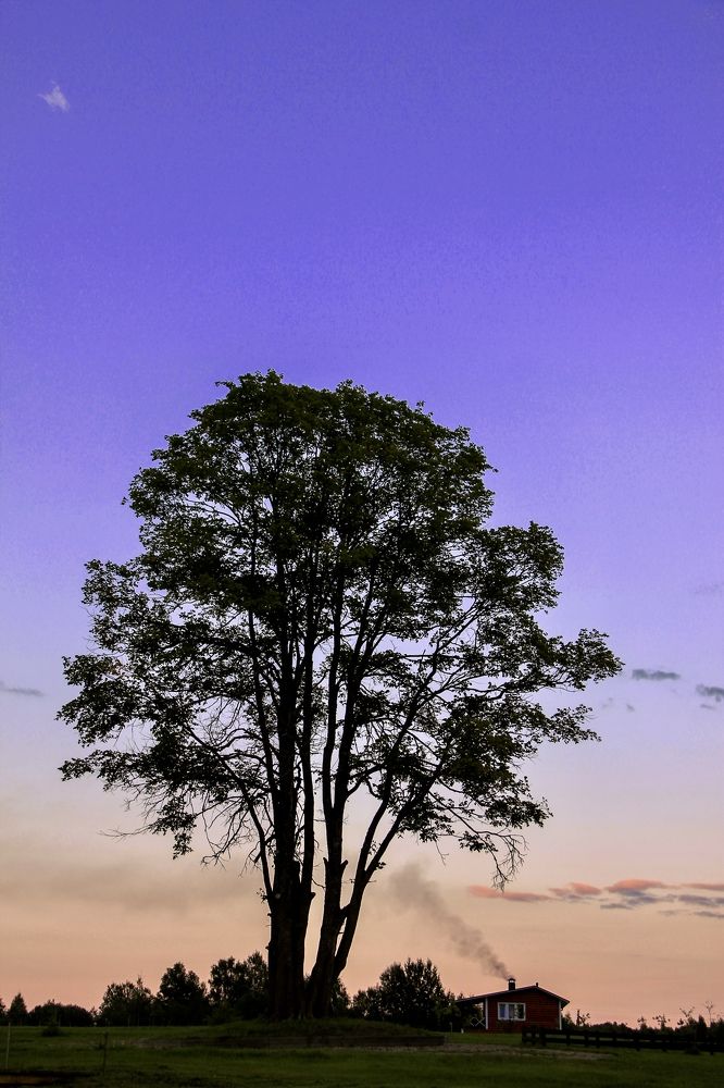 Photograph by Светлана Богомолова