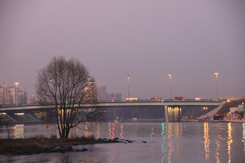 Photograph by Светлана Богомолова