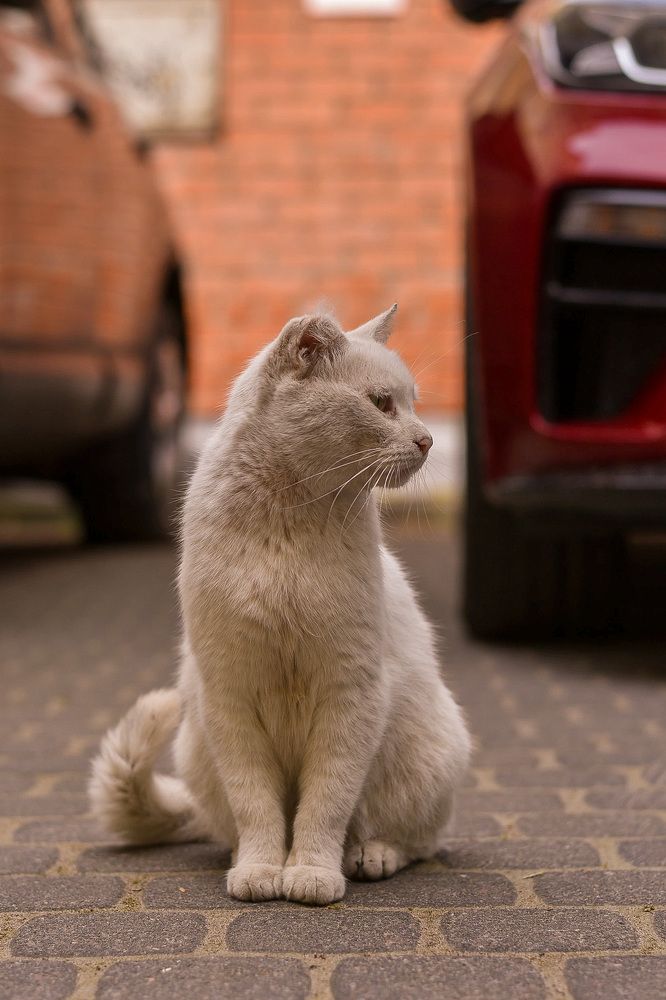 Photograph by Elvira