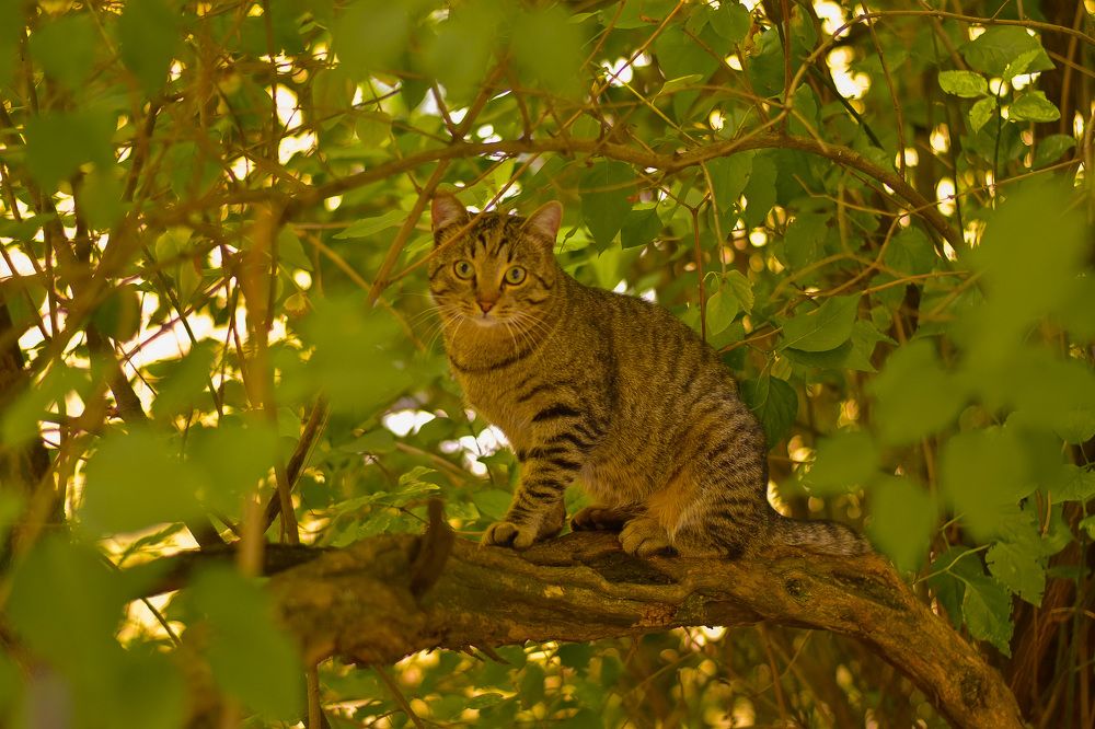 Photograph by Elvira