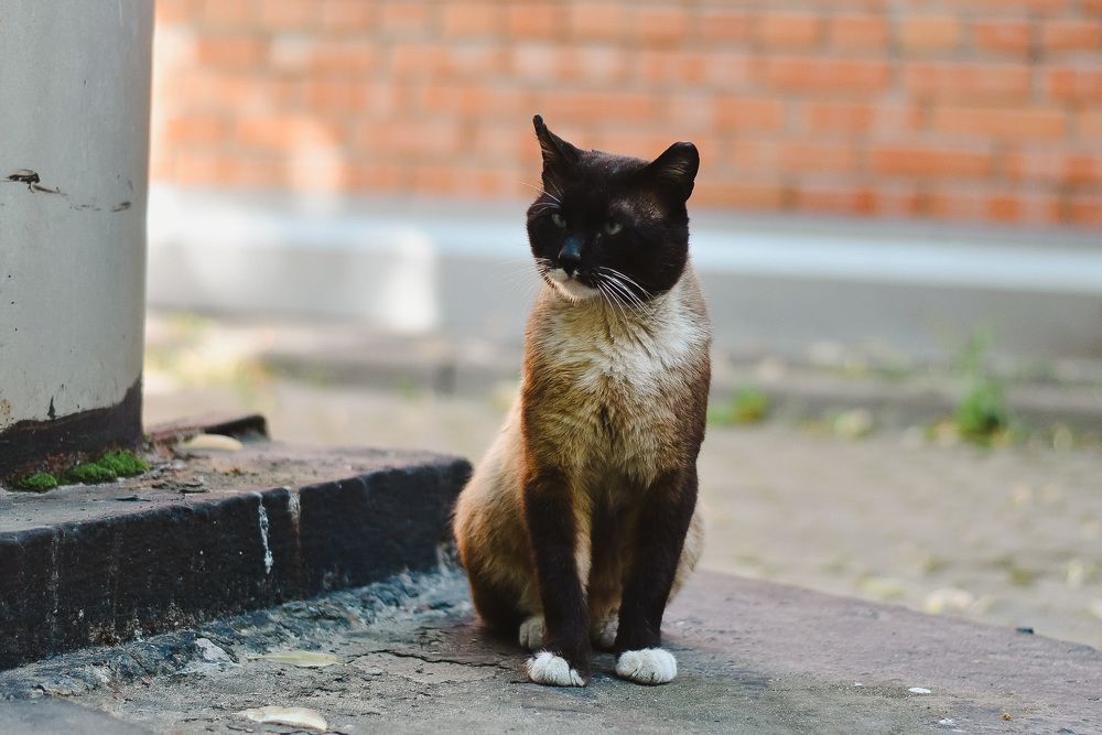 Photograph by Elvira