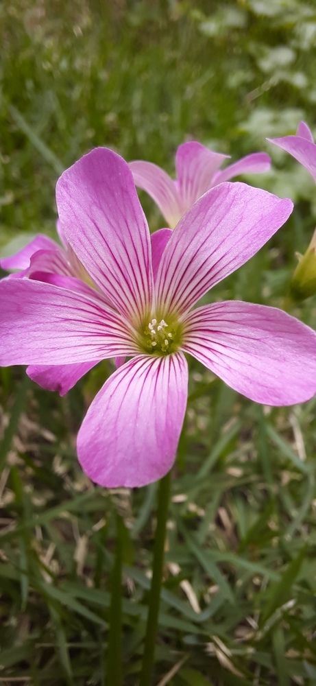 Фотография автора Jose Barbosa