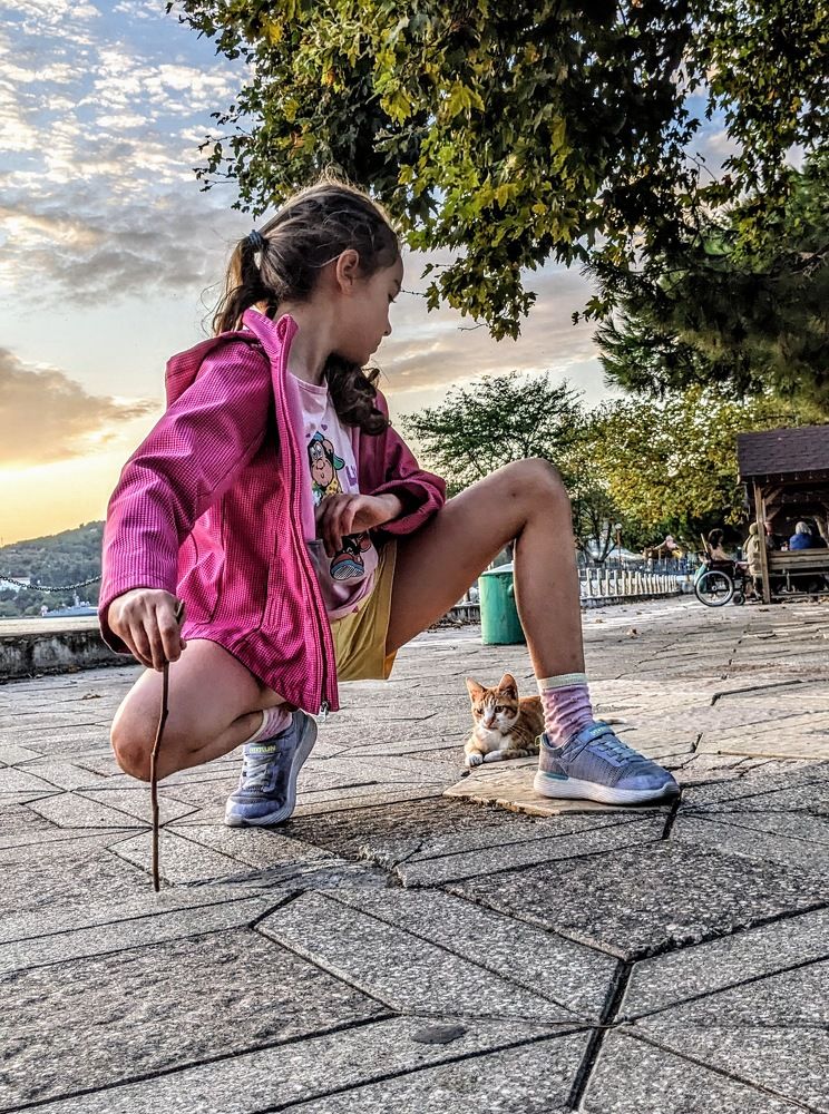 Come on, kitty, kitty